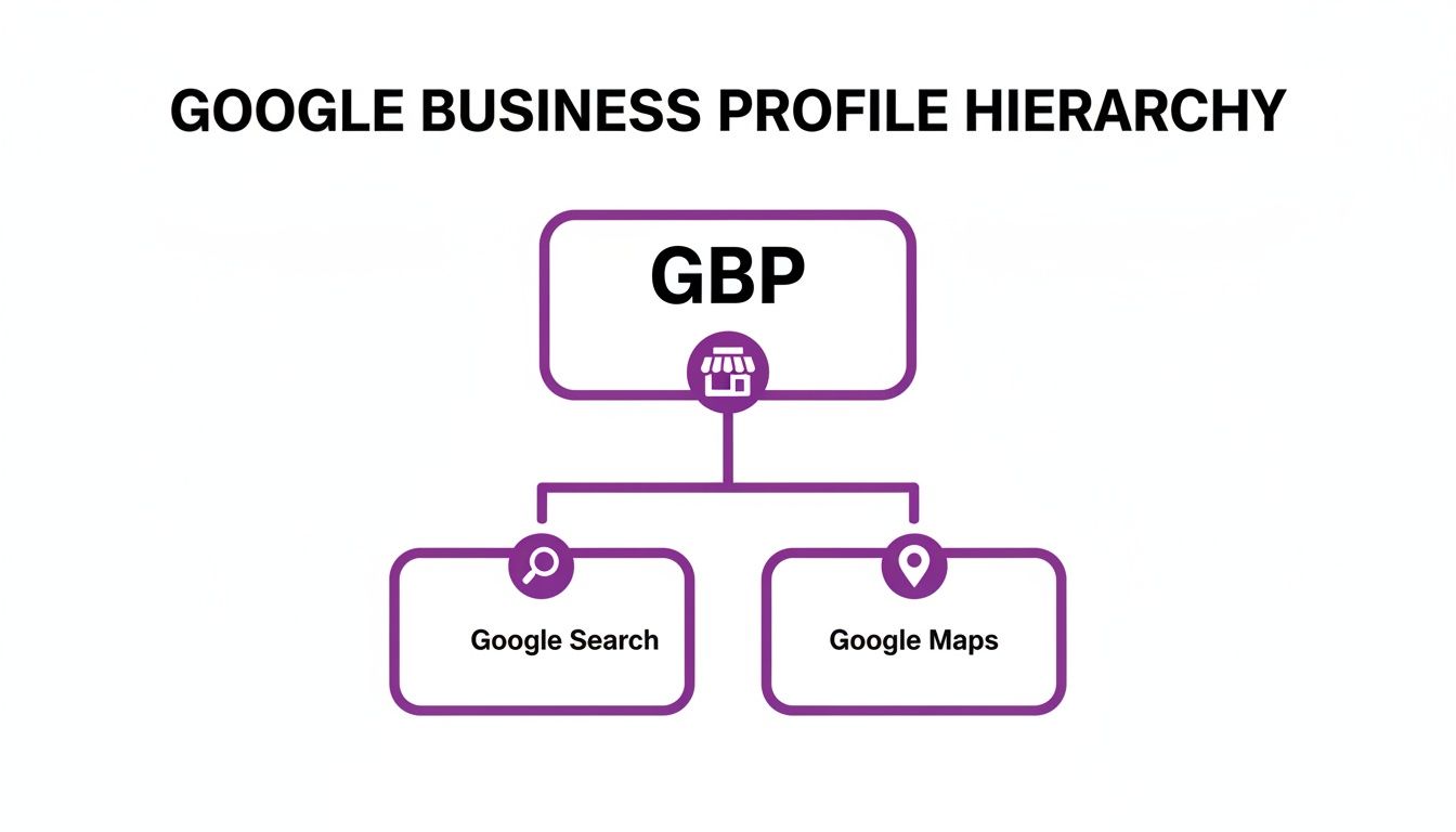 A diagram illustrating the Google Business Profile hierarchy, connecting to Google Search and Google Maps.